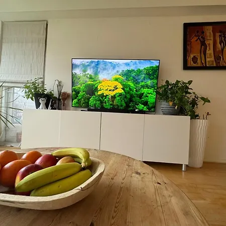 Apartment Entire In